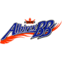 Niigata Albirex